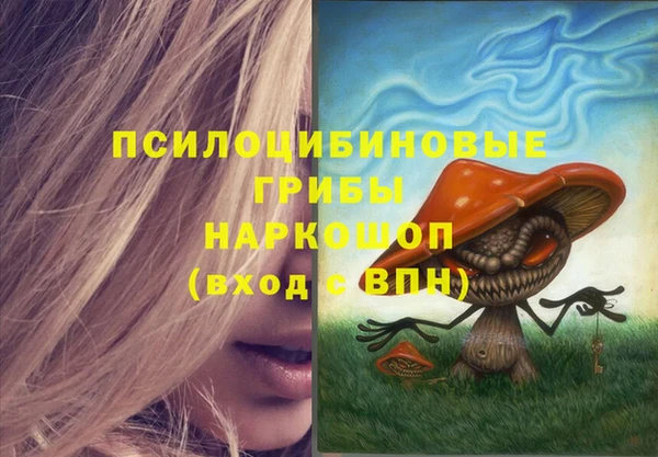 ПСИЛОЦИБИНОВЫЕ ГРИБЫ Наволоки