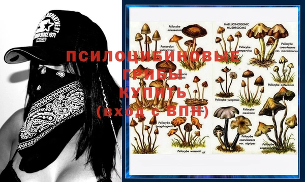 мяу мяу кристалл Надым
