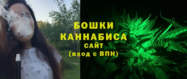 ПСИЛОЦИБИНОВЫЕ ГРИБЫ Наволоки