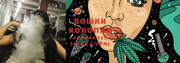 индика Бутурлиновка