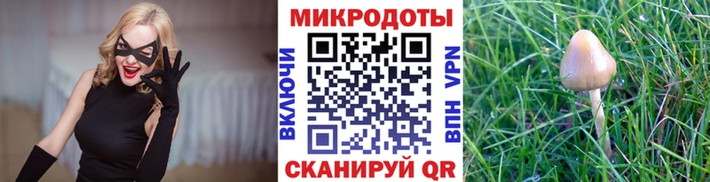 Галлюциногенные грибы Psilocybe  Старый Крым 